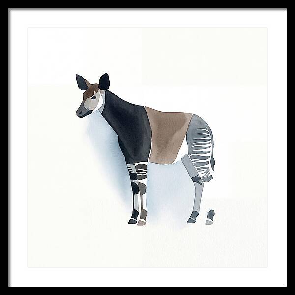 Okapi Minimalist
