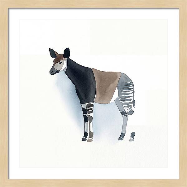 Okapi Minimalist