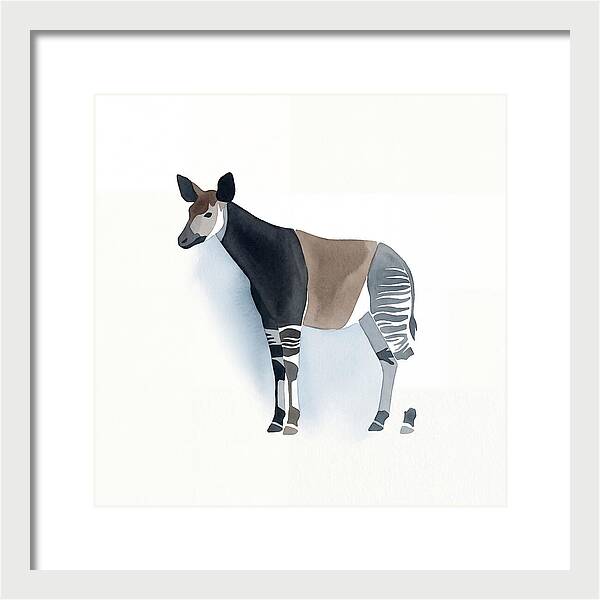 Okapi Minimalist