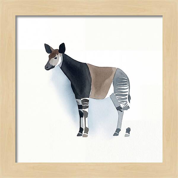 Okapi Minimalist