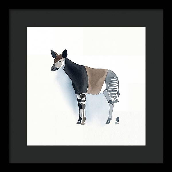 Okapi Minimalist