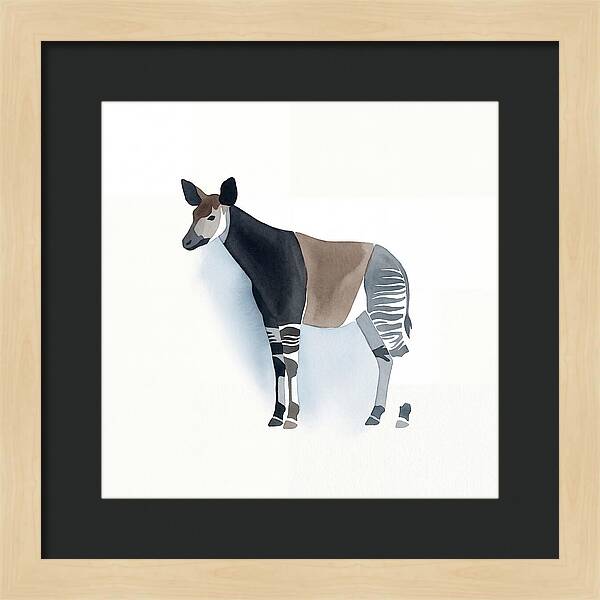 Okapi Minimalist
