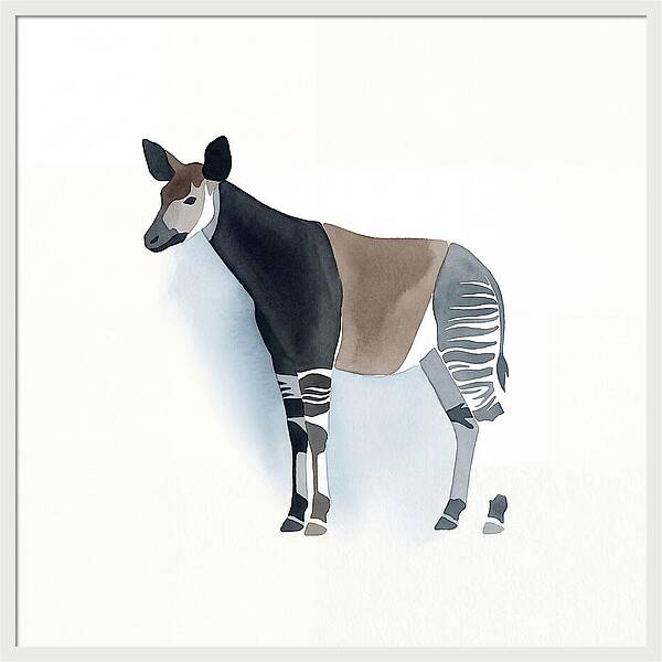 Okapi Minimalist
