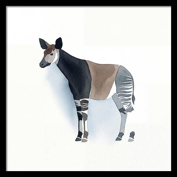 Okapi Minimalist