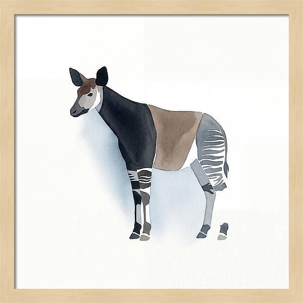Okapi Minimalist