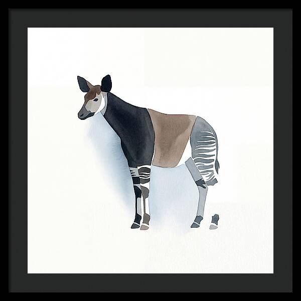 Okapi Minimalist