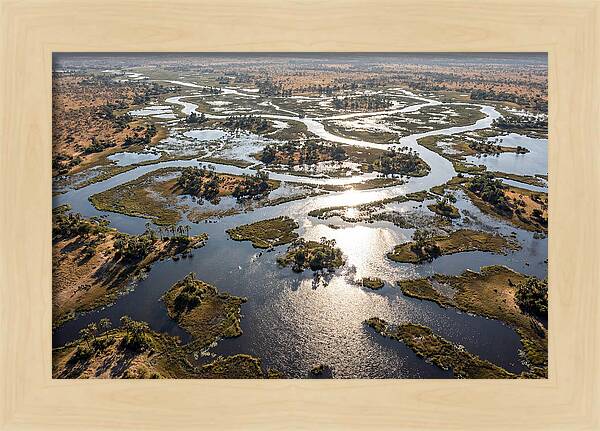 Okavango Delta In Flood Season
