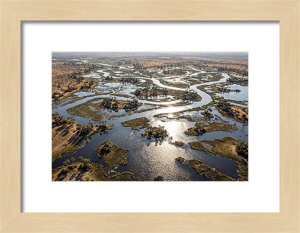 Okavango Delta In Flood Season