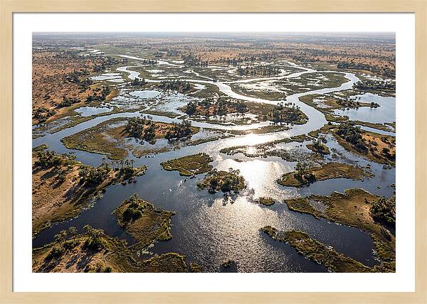 Okavango Delta In Flood Season