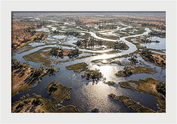 Okavango Delta In Flood Season