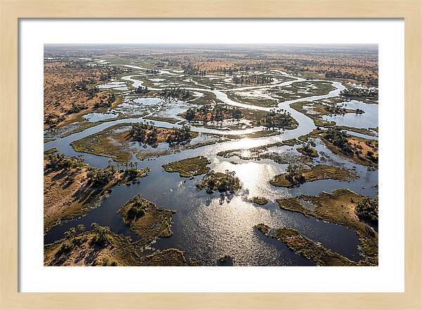 Okavango Delta In Flood Season