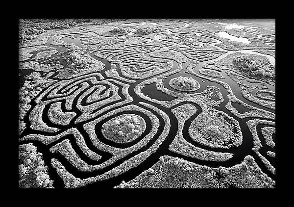 Okavango Delta Patterns