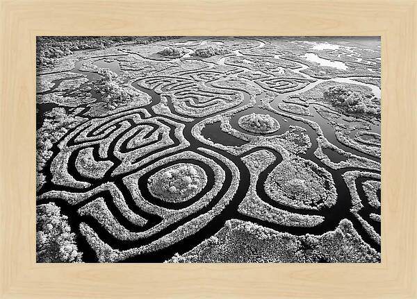 Okavango Delta Patterns