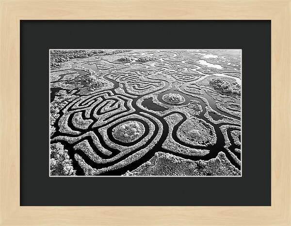 Okavango Delta Patterns