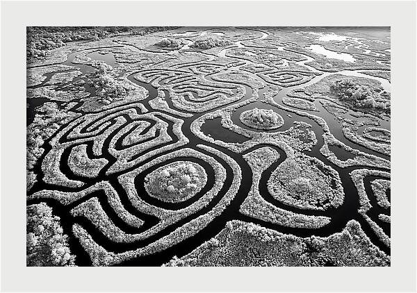 Okavango Delta Patterns