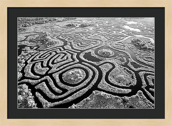 Okavango Delta Patterns