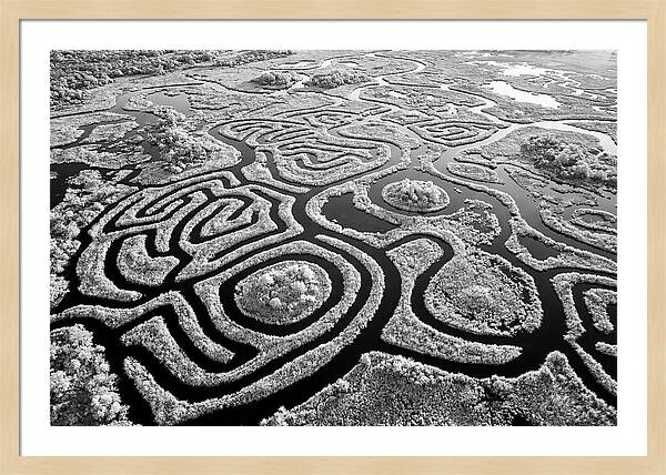 Okavango Delta Patterns