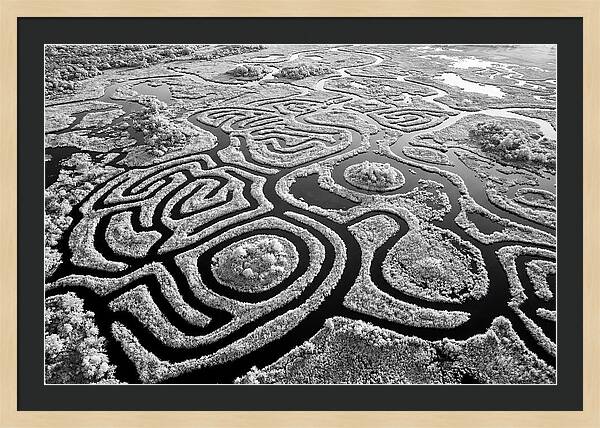 Okavango Delta Patterns