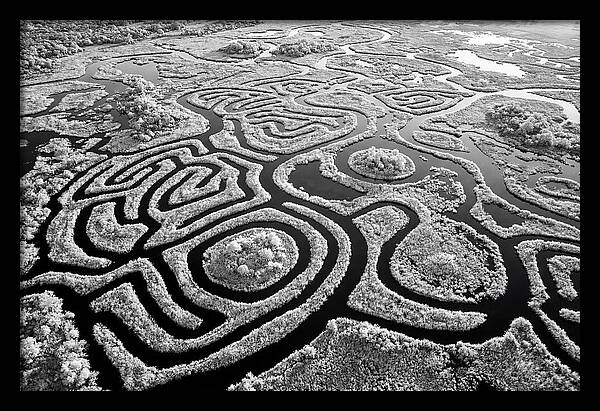 Okavango Delta Patterns