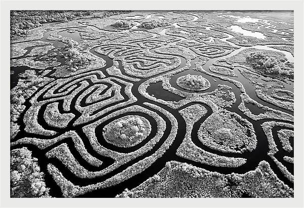 Okavango Delta Patterns