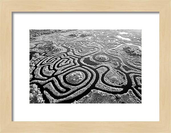 Okavango Delta Patterns