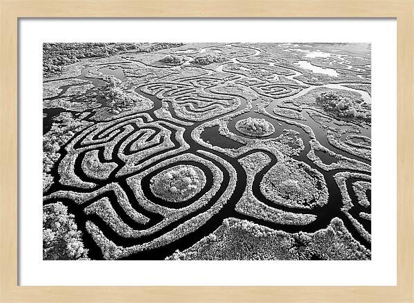 Okavango Delta Patterns