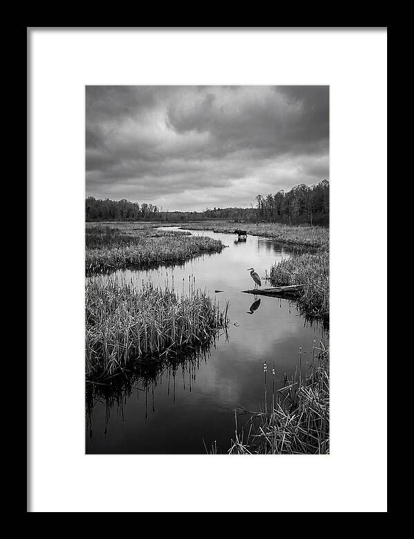 Okavango Delta Serenity