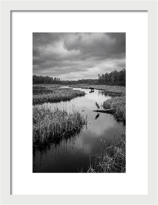 Okavango Delta Serenity
