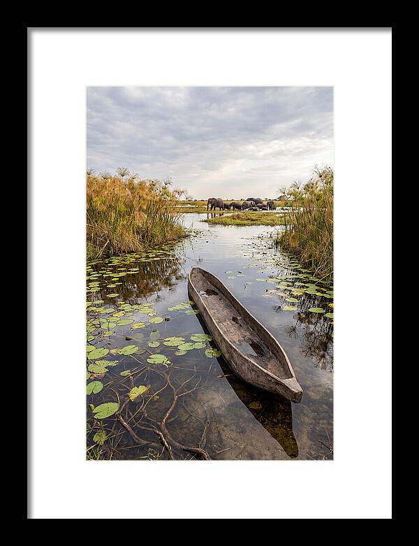 Okavango Delta Tranquility
