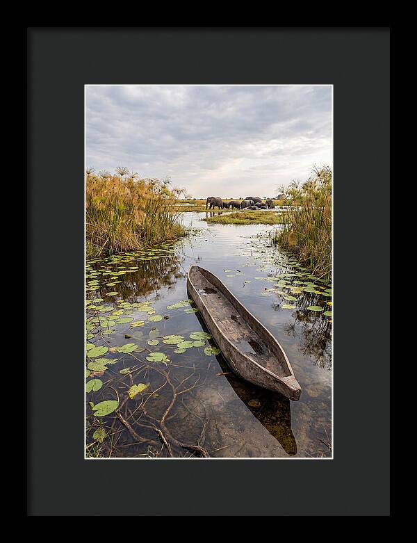 Okavango Delta Tranquility