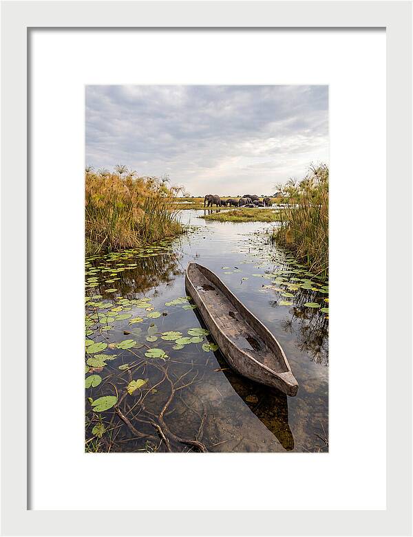 Okavango Delta Tranquility