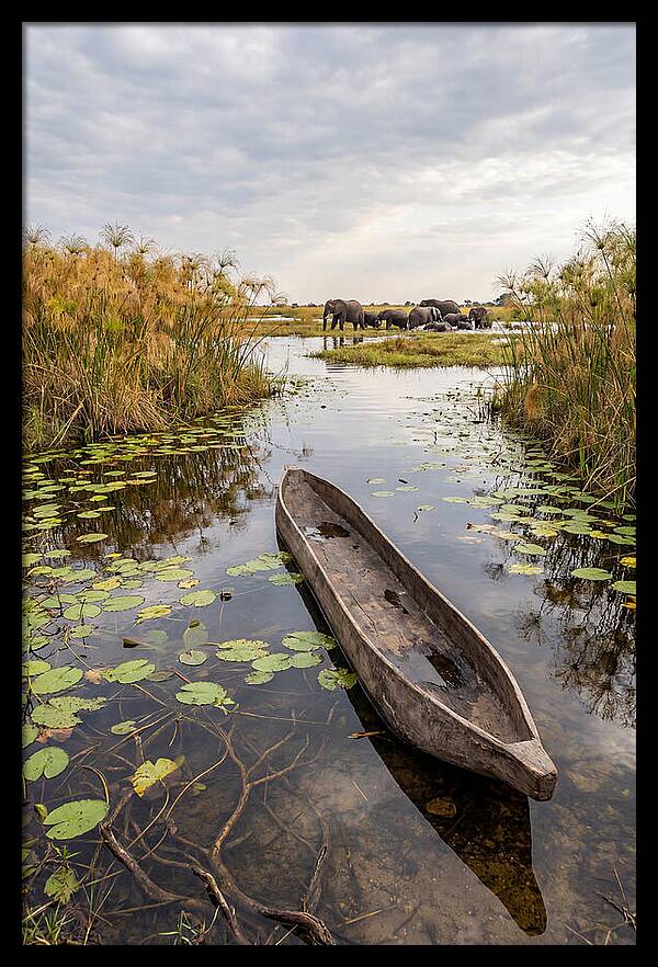 Okavango Delta Tranquility