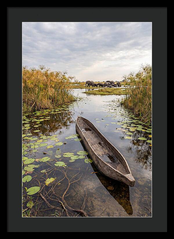 Okavango Delta Tranquility