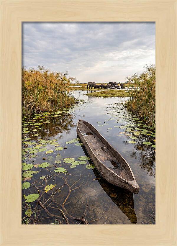 Okavango Delta Tranquility