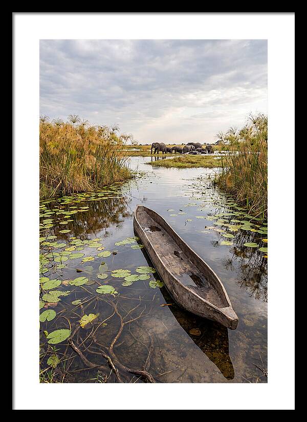 Okavango Delta Tranquility