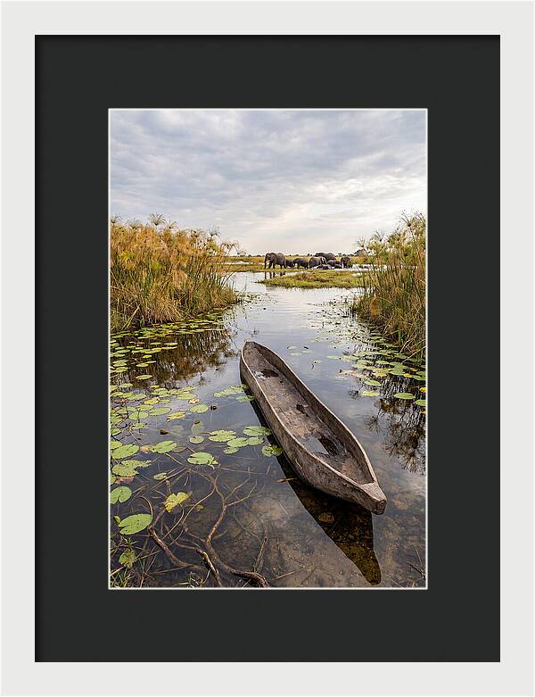 Okavango Delta Tranquility