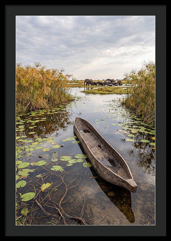 Okavango Delta Tranquility