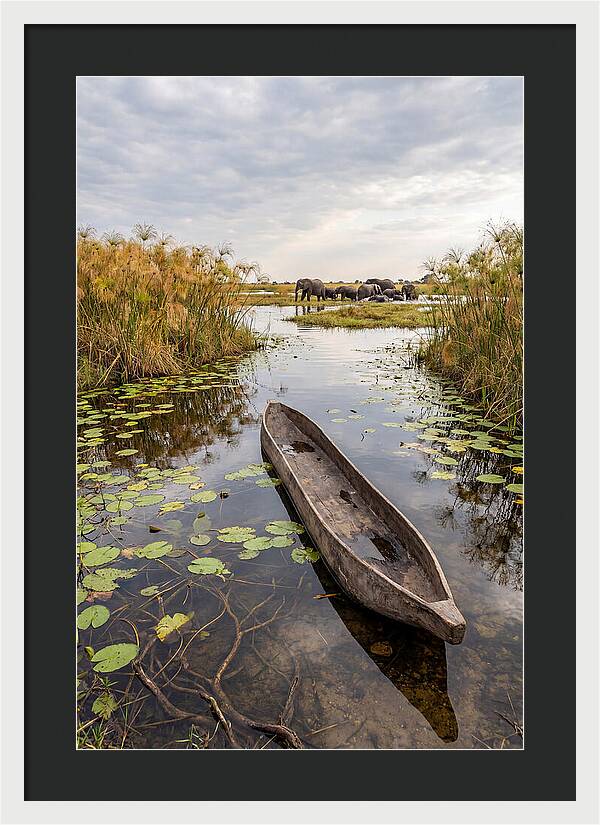 Okavango Delta Tranquility