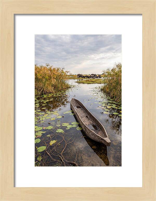 Okavango Delta Tranquility