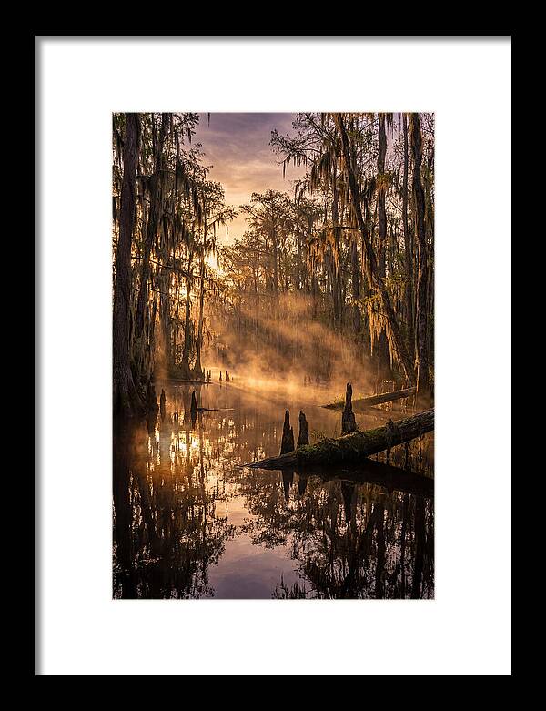 Okefenokee Swamp Serenity
