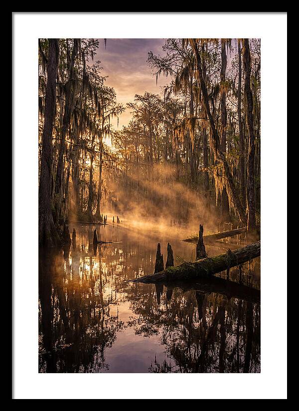Okefenokee Swamp Serenity