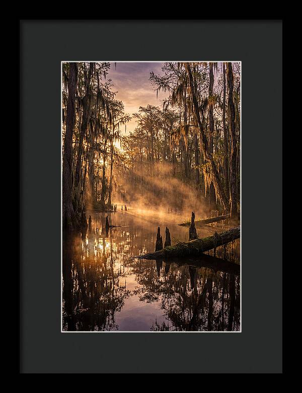Okefenokee Swamp Serenity