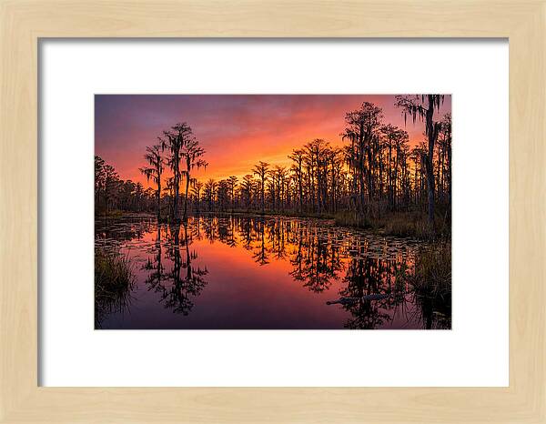 Okefenokee Swamp Sunset Reflections