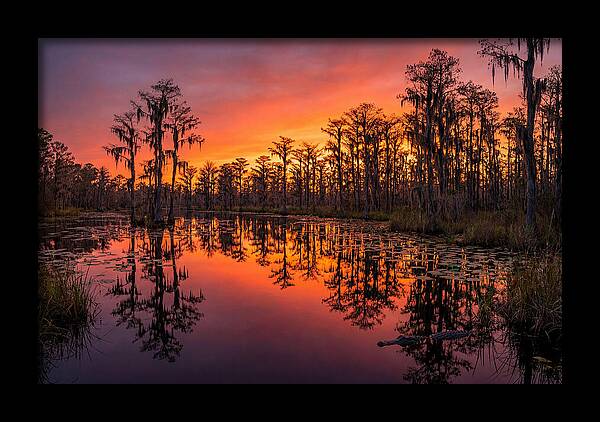 Okefenokee Swamp Sunset Reflections