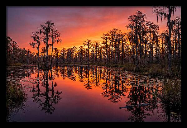 Okefenokee Swamp Sunset Reflections