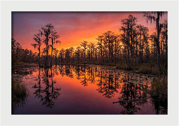 Okefenokee Swamp Sunset Reflections