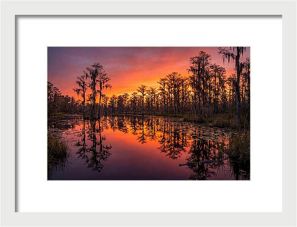 Okefenokee Swamp Sunset Reflections
