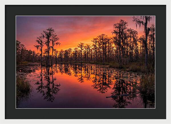 Okefenokee Swamp Sunset Reflections