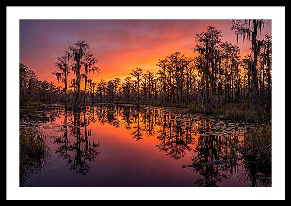 Okefenokee Swamp Sunset Reflections