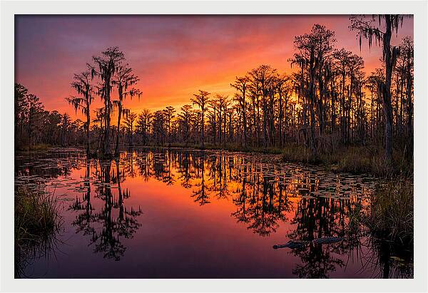 Okefenokee Swamp Sunset Reflections